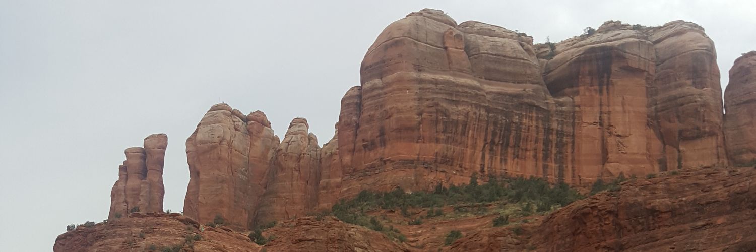 Virginia Raby banner