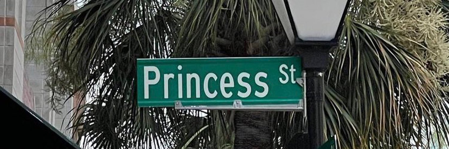 Princesspoodie's profile banner image
