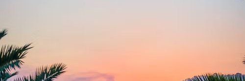 AMCHOTW's profile banner image