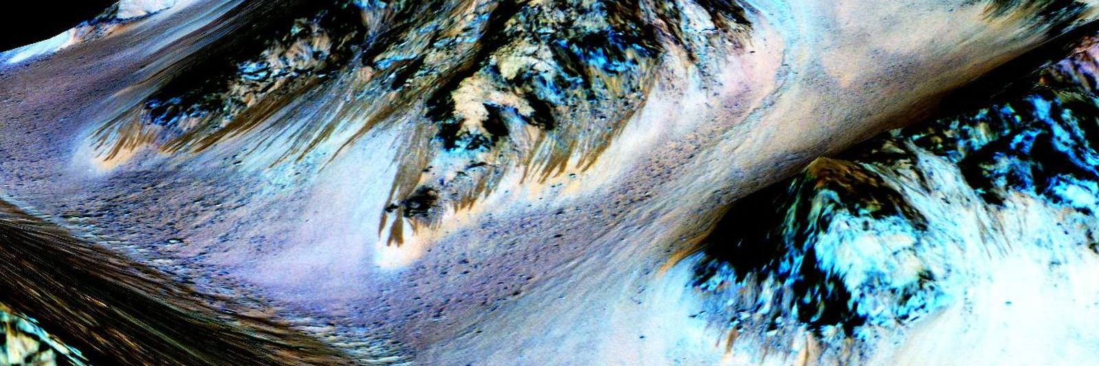 Véronique Radier banner