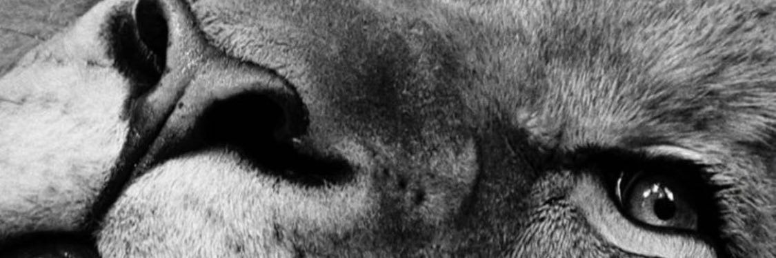 PipeM902's profile banner image