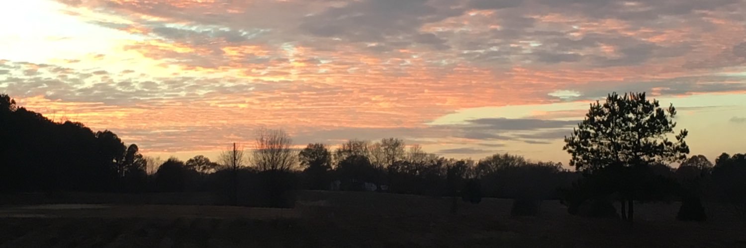 BrandonDForsyt1's profile banner image