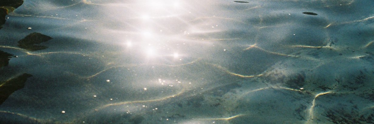 _shibasaki's profile banner image