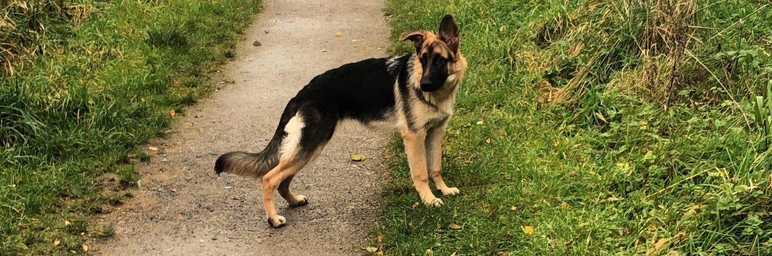 Jack Parsonage banner