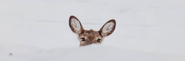 hla_79 Profile Banner