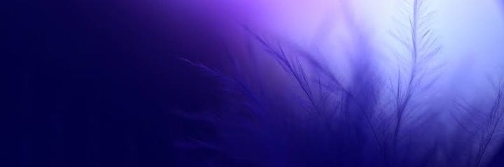 Vanuzaof's profile banner image