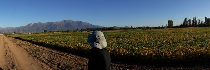PabloAgroChile's profile banner image