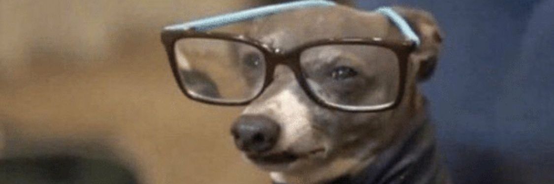 Fidowiido's profile banner image