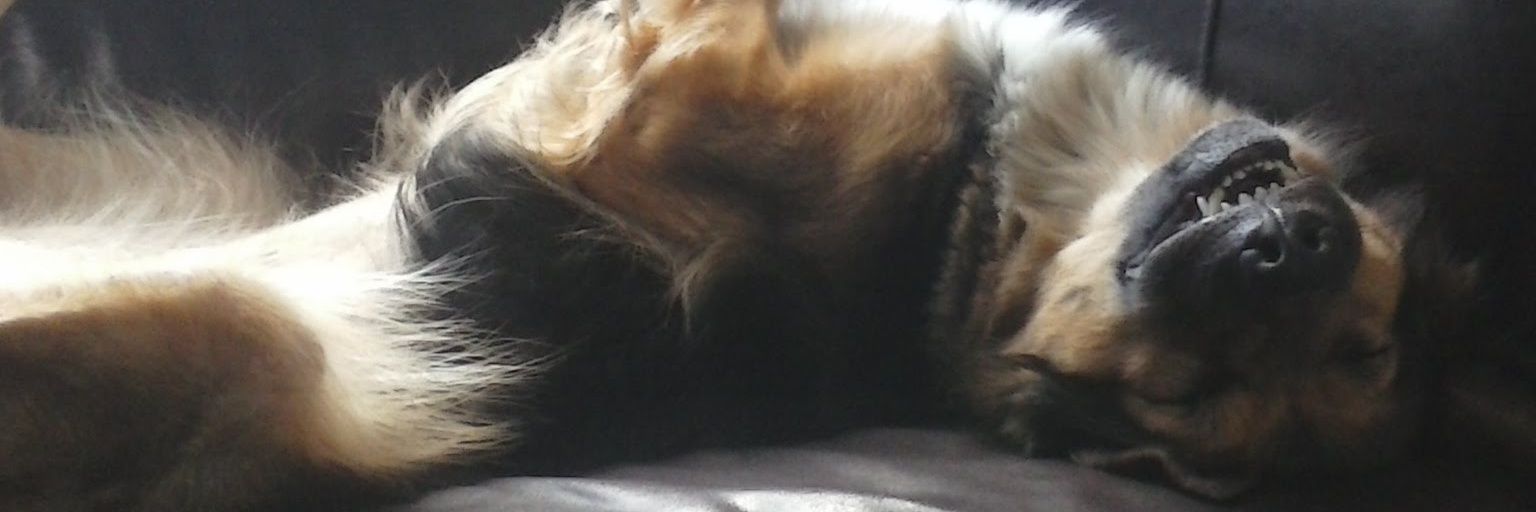 BasMoer's profile banner image
