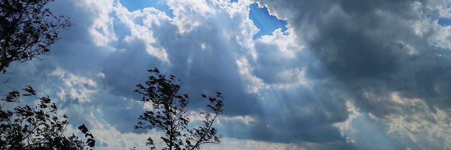 hemilenabreu's profile banner image