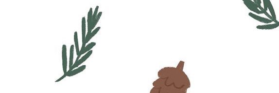 pparnfifi's profile banner image