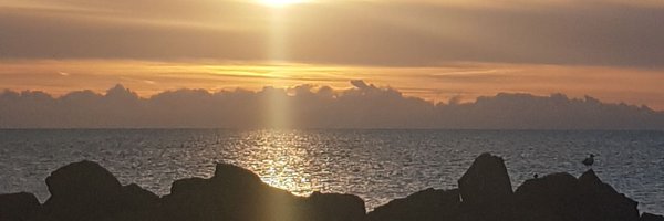 pascali7 Profile Banner
