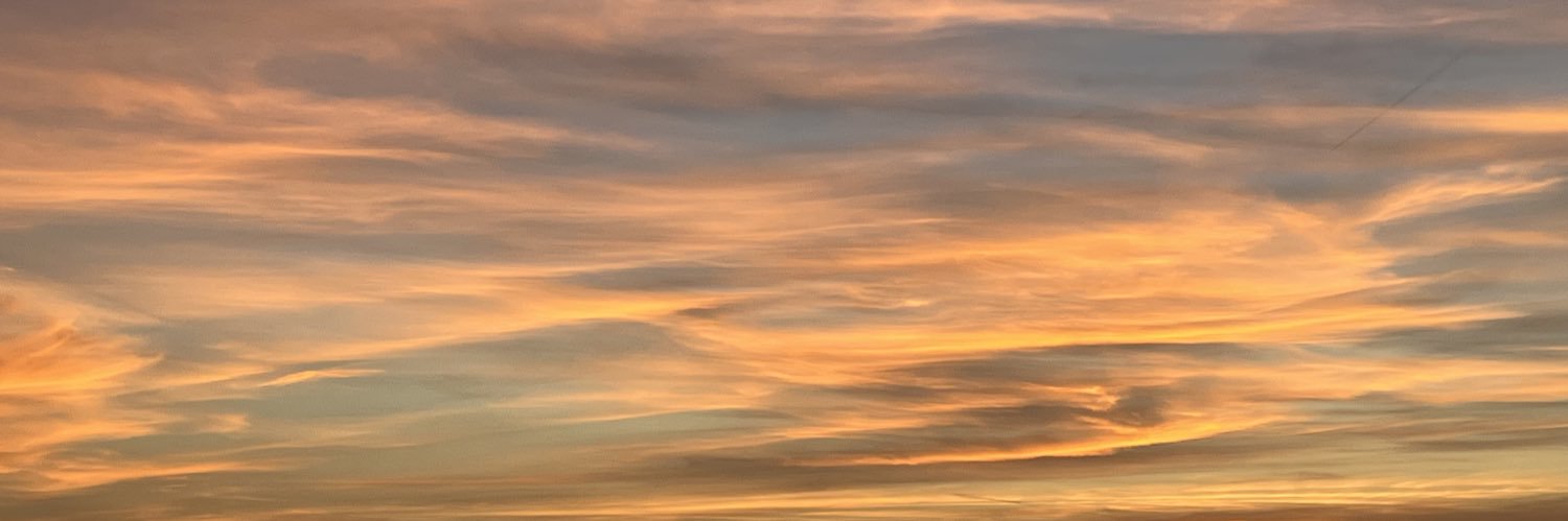 Dr. Yara Hawari د. يارا هواري banner