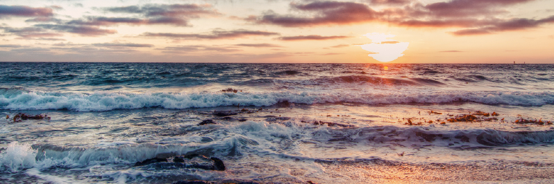 QJabon_'s profile banner image