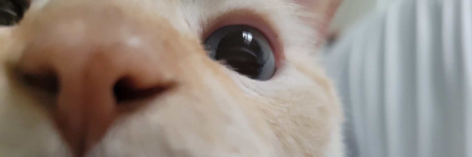 JanrelaPS5's profile banner image