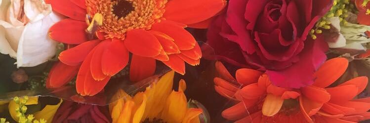 madalynne's profile banner image