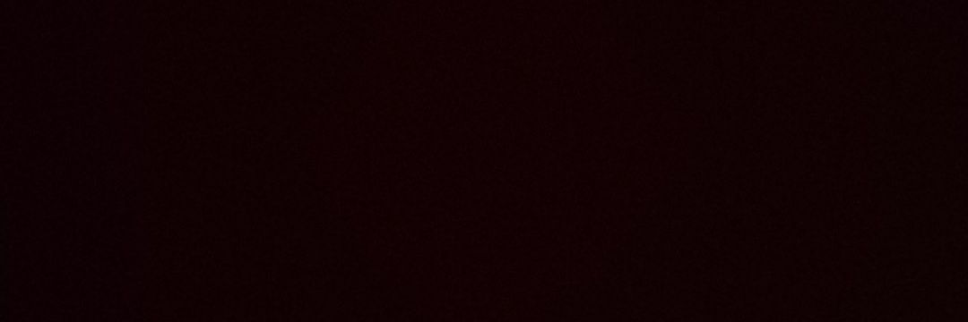 muffinandsnow1's profile banner image