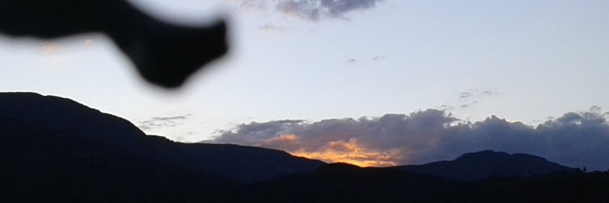 AzevedoSamly's profile banner image