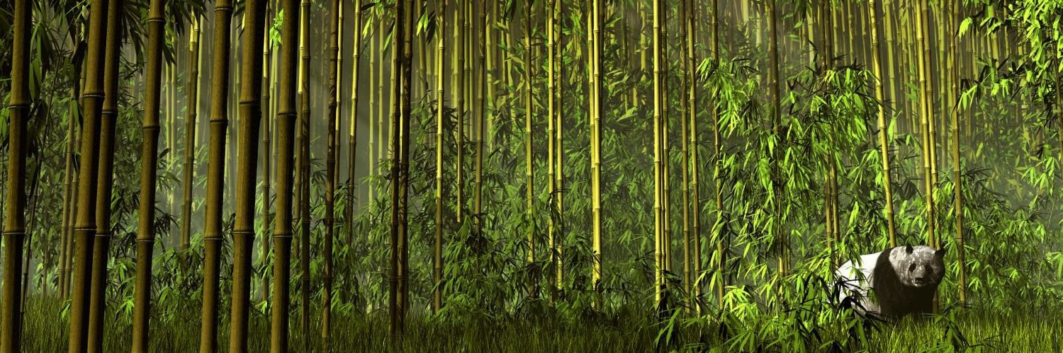ildaren0_0's profile banner image