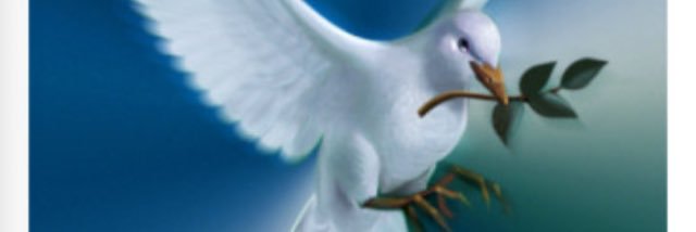 avonelharding's profile banner image