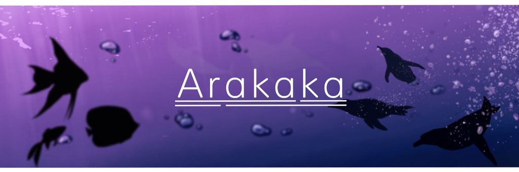 Arakaka95's profile banner image