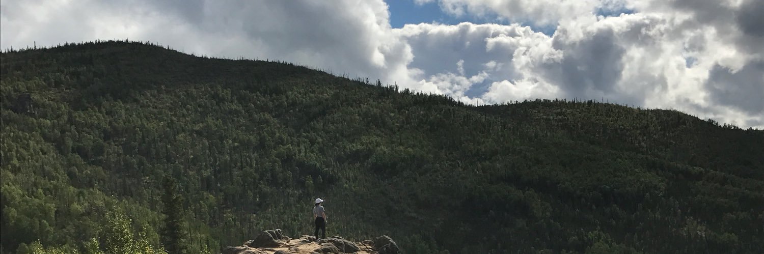 lexiswheeler's profile banner image