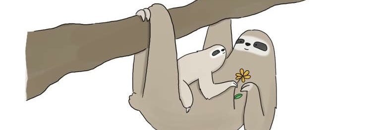 ntshaszlc's profile banner image