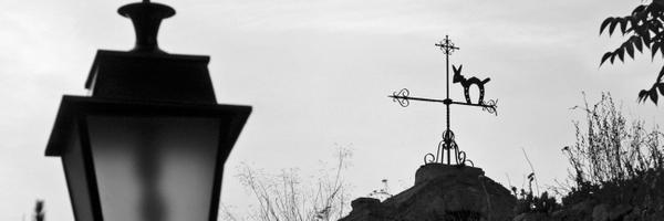 LauraDBertola Profile Banner