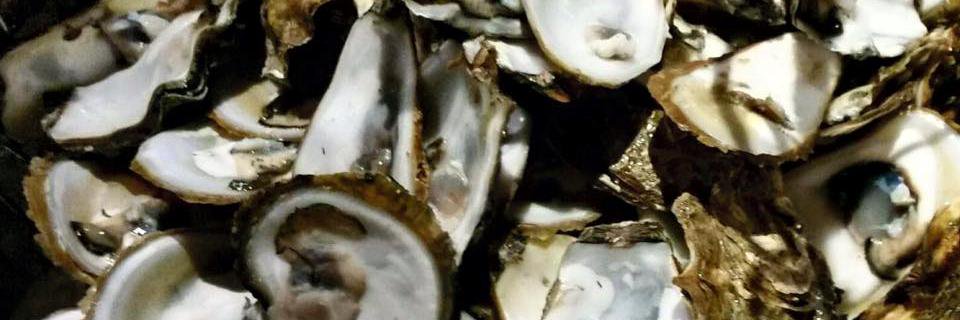 BlueIslandOysterBar banner