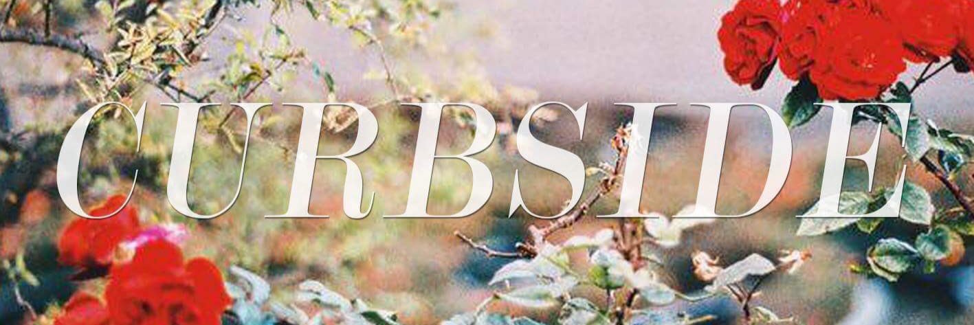 curbsidepoppunk's profile banner image