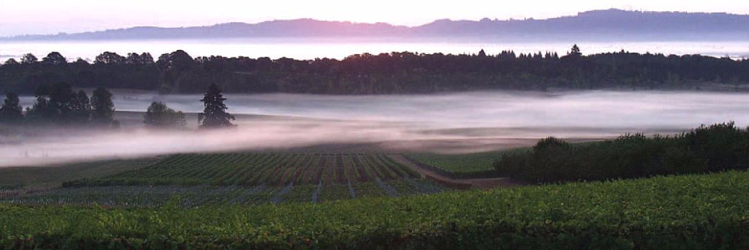 PremWineEvents's profile banner image