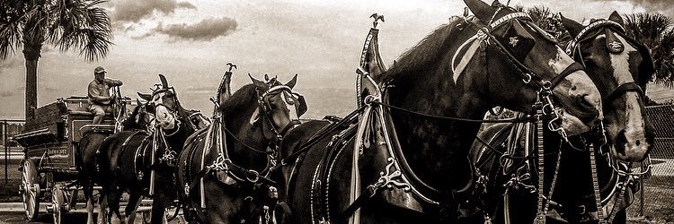 KyleMcClellan46's profile banner image