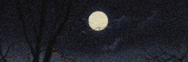 wefallagainn's profile banner image