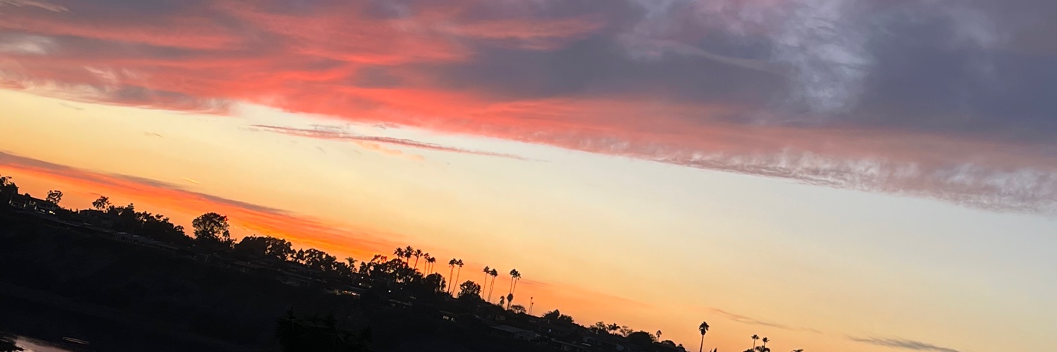 LunarRoseMoon's profile banner image