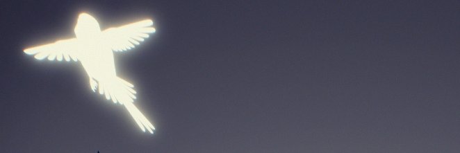 Drakious's banner
