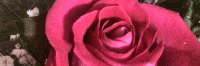 StarMadison91's profile banner image