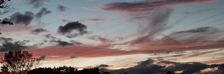 belldarr__9's profile banner image