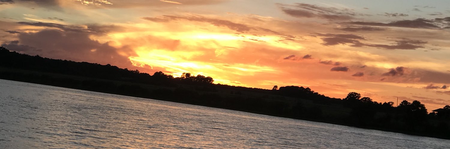 brooke_dees's profile banner image