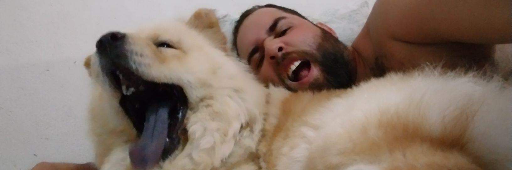 elviscaedando's profile banner image
