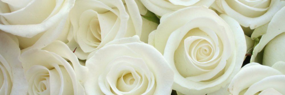 beckyjeter's profile banner image