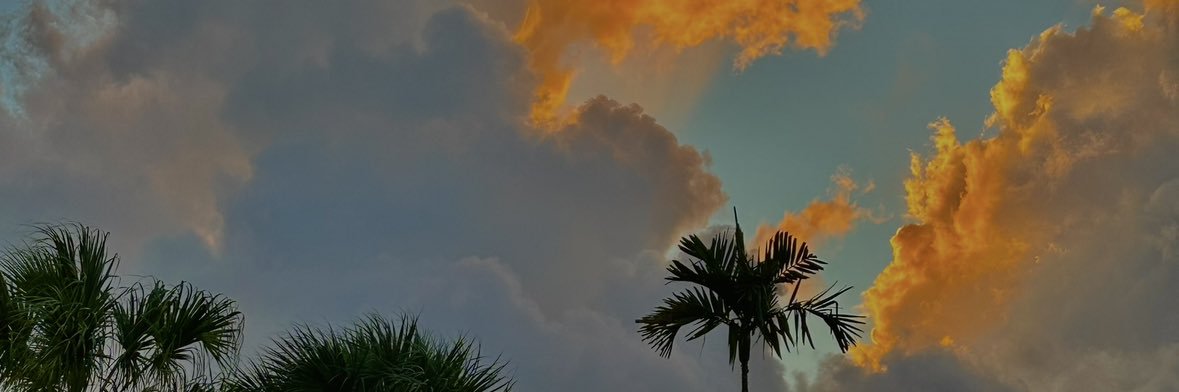 Sir_Sunflower's profile banner image