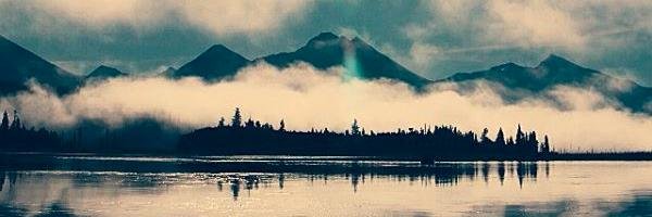 AmberDunleavy's profile banner image