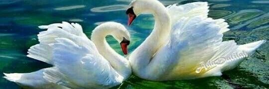 Topsy_Turvey_Oopsy_Gritts & Jowls Clampett🫣🙄🤔🥰 banner