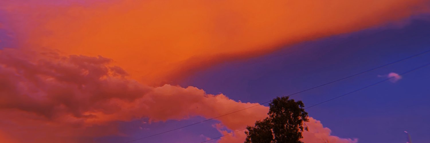 FanielenaGalvez's profile banner image
