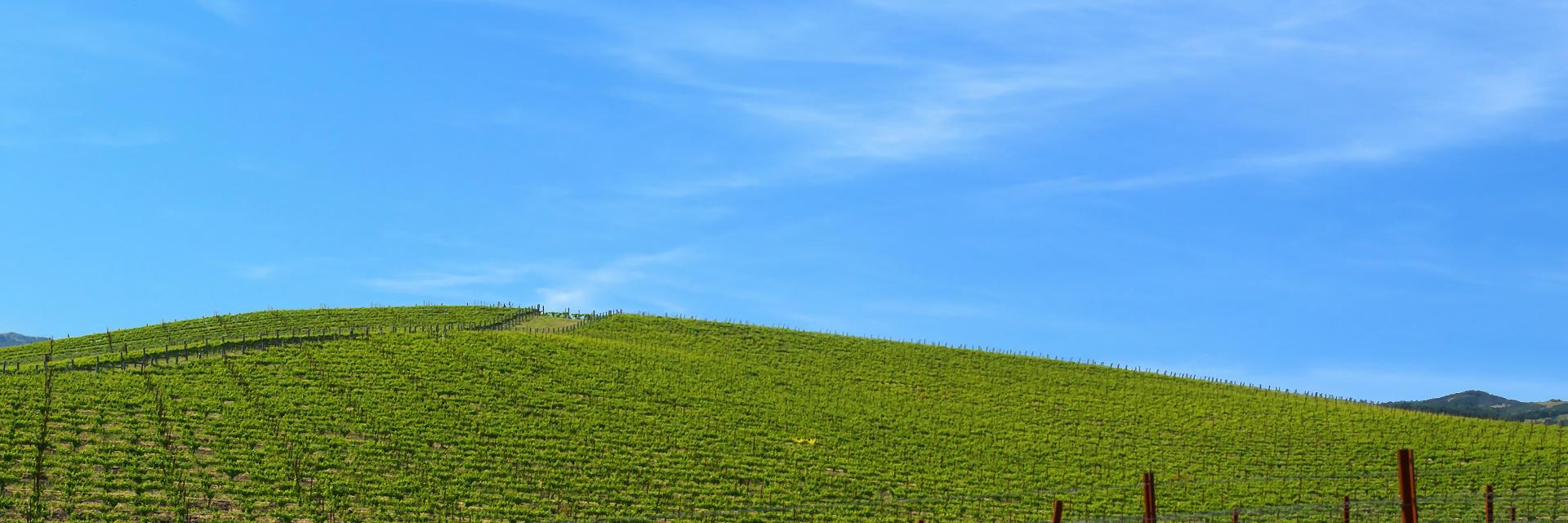 al_ghul's profile banner image