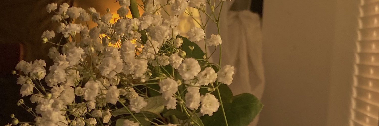 PeaceFrogs_'s profile banner image