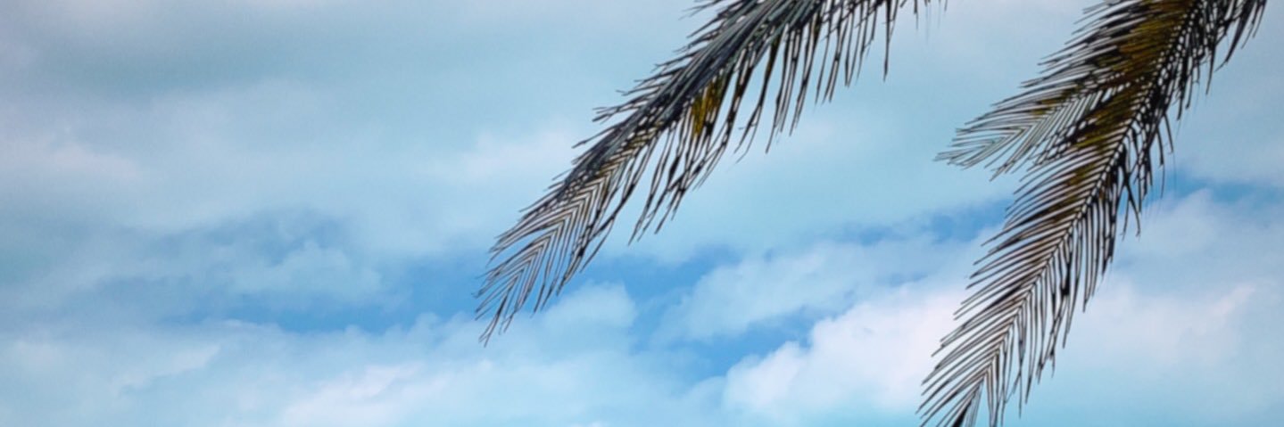 moniperdomor's profile banner image
