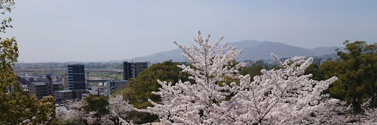 maesan1026's profile banner image