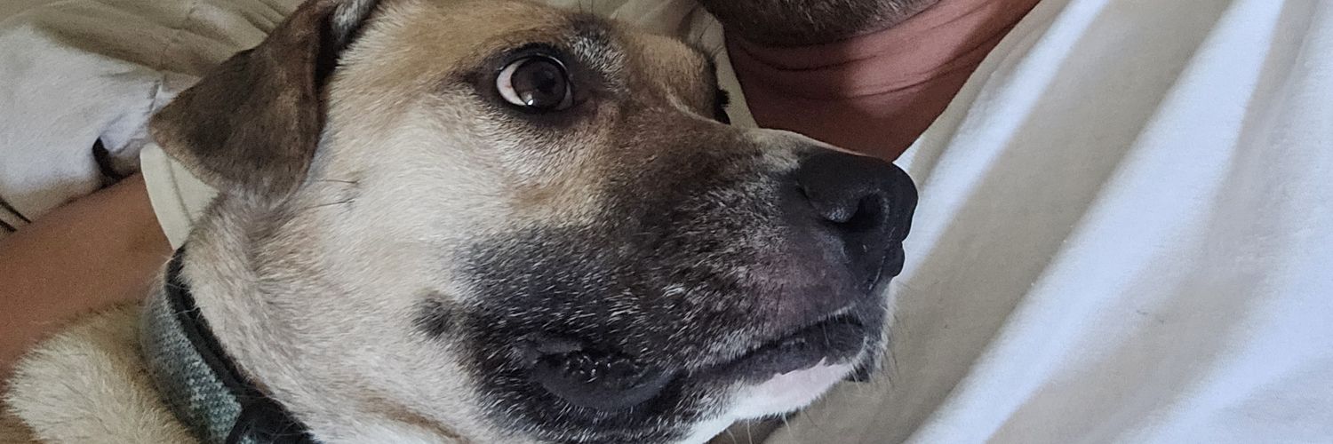 L_Ont69's profile banner image