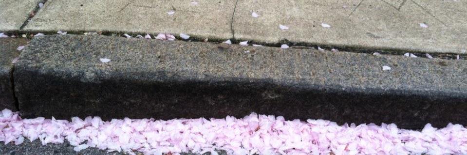 ErikaLitman's profile banner image